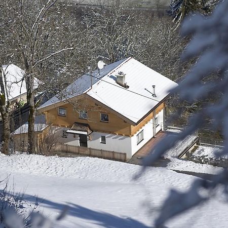 Bergchalet Emberg Mit Sauna Aschau Im Zillertal Eksteriør billede